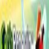 Download crazy penguin Cell Phone Game